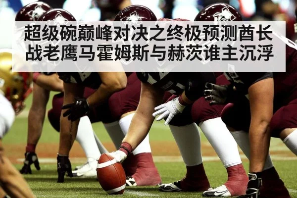 超级碗巅峰对决之终极预测酋长战老鹰马霍姆斯与赫茨谁主沉浮